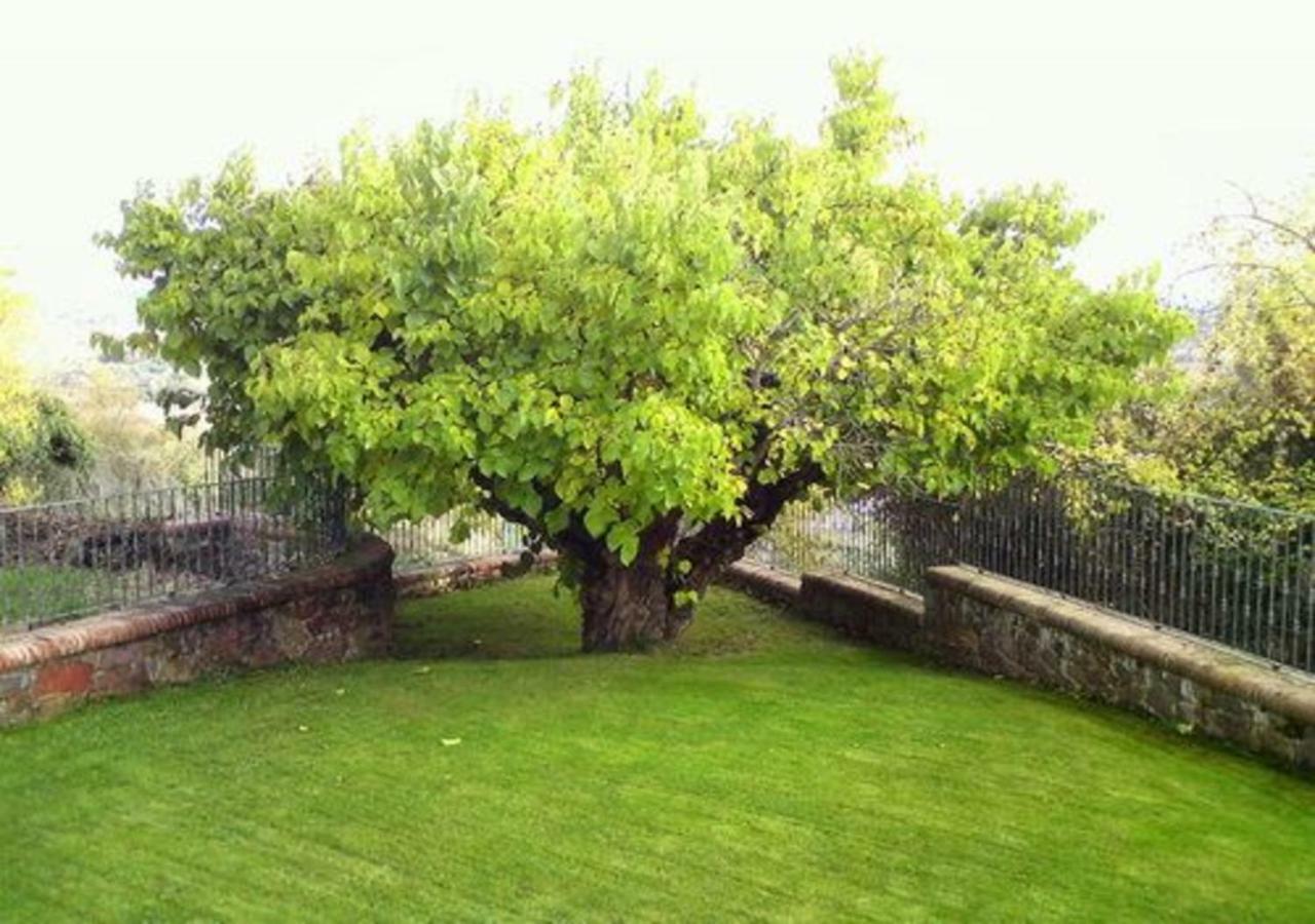 El Patio De La Morera El Rasillo Zewnętrze zdjęcie